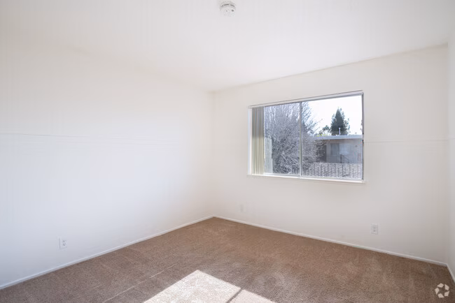 Windsor Park Apartments photo 4