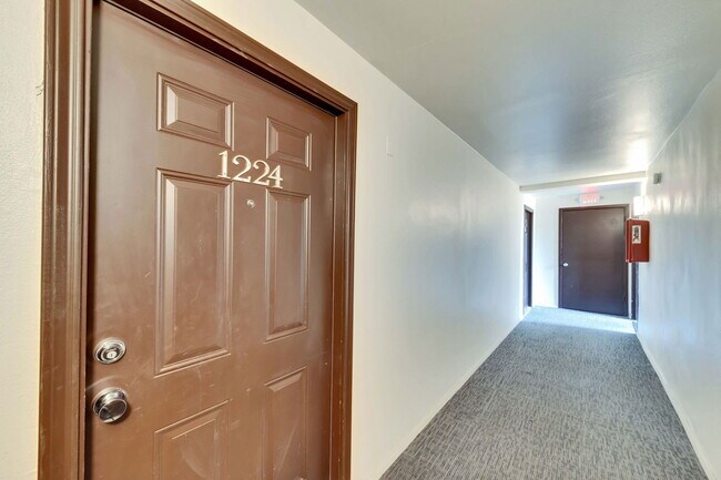 2020 S Congress Ave Austin, TX 78704 photo 5