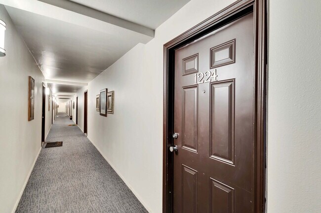 2020 S Congress Ave Austin, TX 78704 photo 4