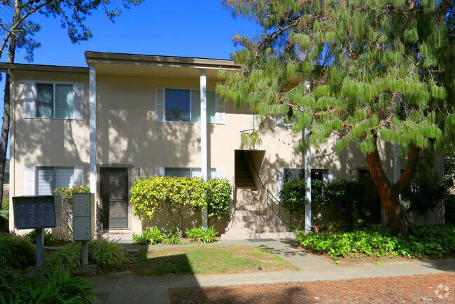 Villa Tiburon photo 3