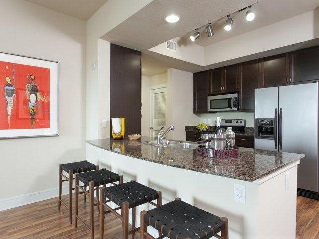 44 Rainey Street, Austin, TX 78701 photo 5