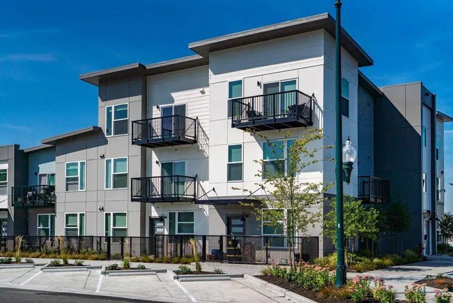 The Main Apartments photo 2