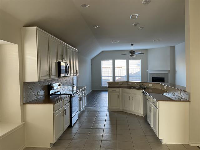 1133 Elm Grove Dr Allen, TX 75002 photo 4
