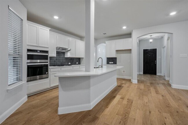 2037 Almassera Dr Little Elm, TX 75068 photo 4