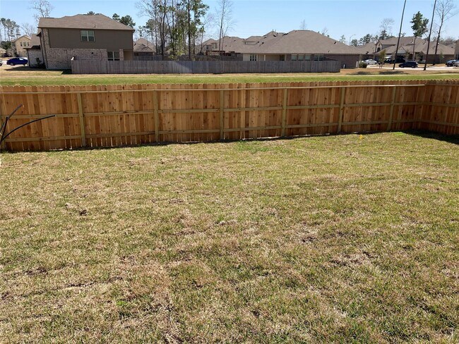 6004 Rimini Landing Lane, Porter, TX 77365 photo 4