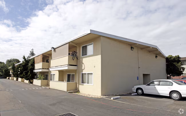 Newport Apartments photo 3