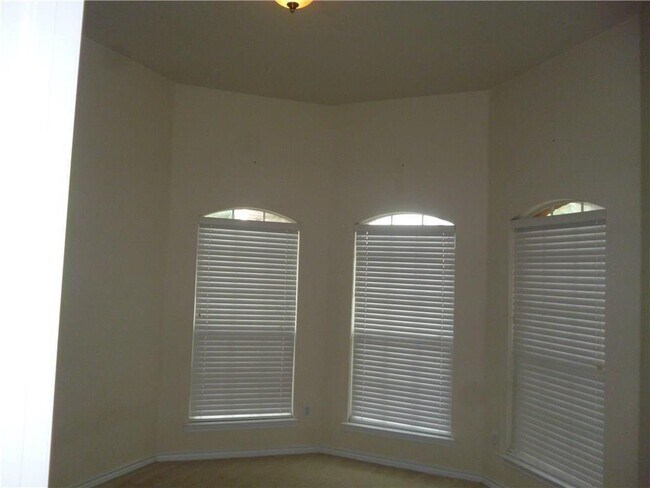 7801 Silverado Trail McKinney, TX 75070 photo 5