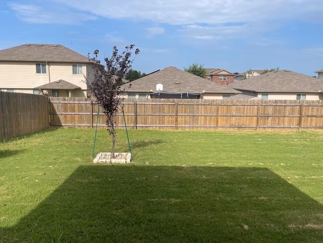 721 Pinnacle Dr Georgetown, TX 78626 photo 3