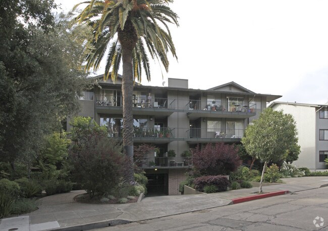 Roble Vista Apartments photo 3