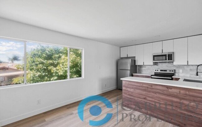 207 E 1st St National City, CA 91950 photo 3