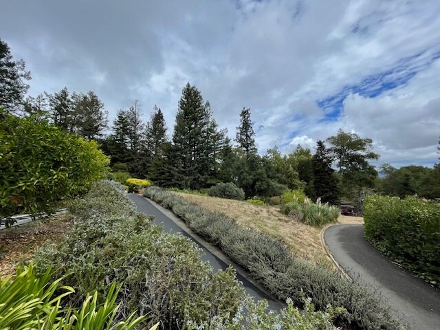 1485 Timberhill Rd Santa Rosa, CA 95401 photo 5