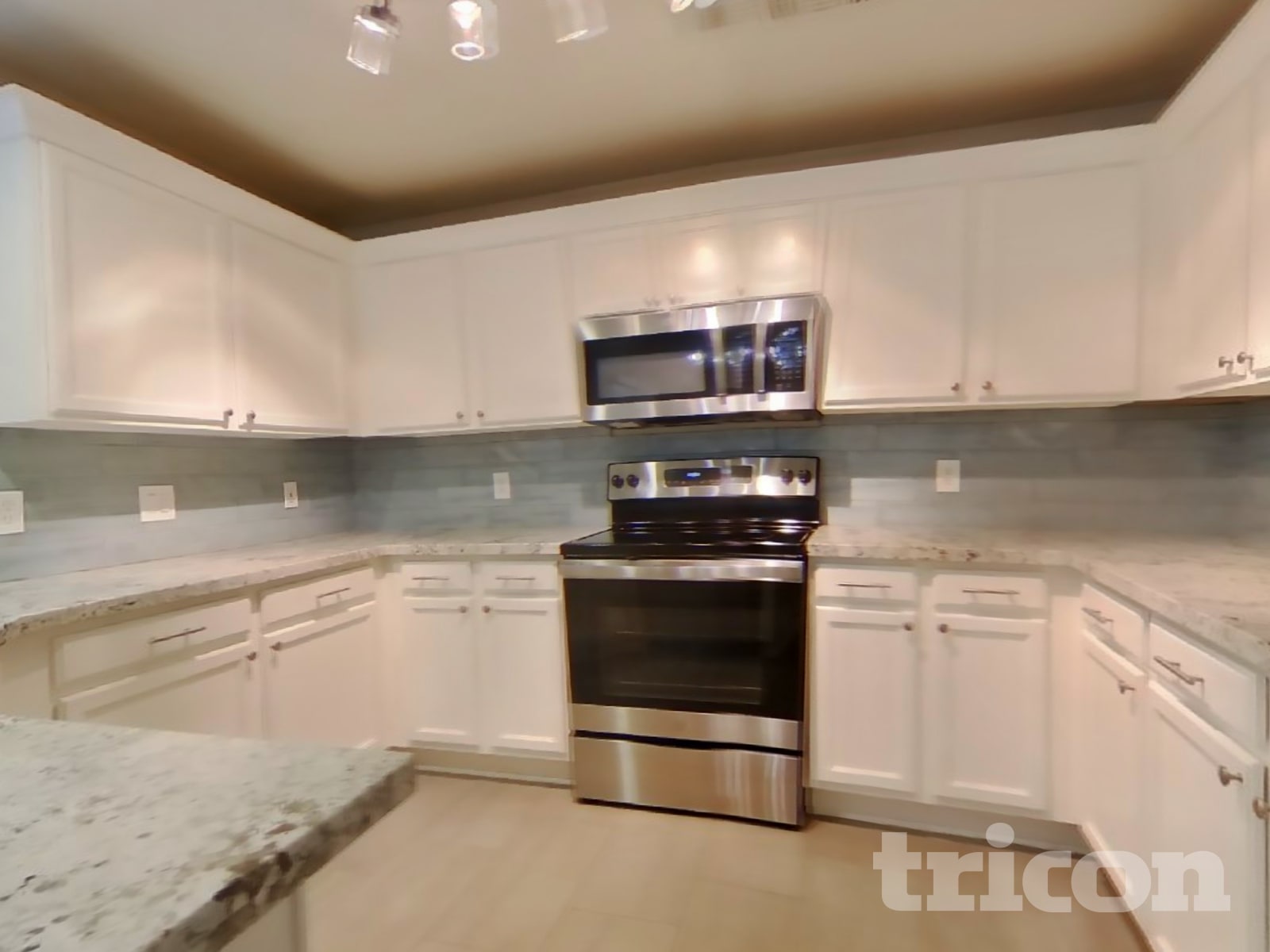 11817 W Poinsettia Drive photo 5