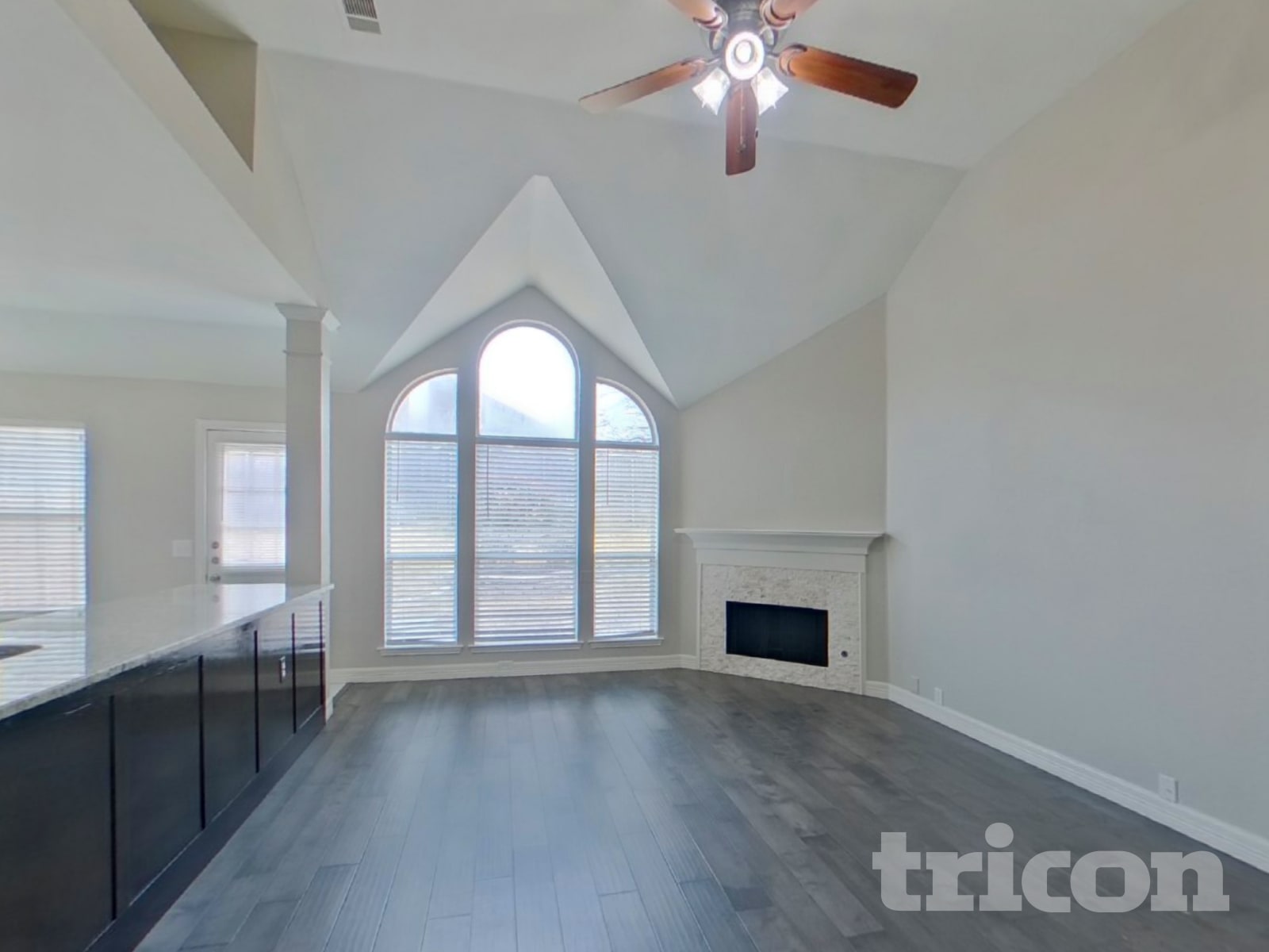 4021 Chinaberry Drive, Garland, TX 75043 photo 4