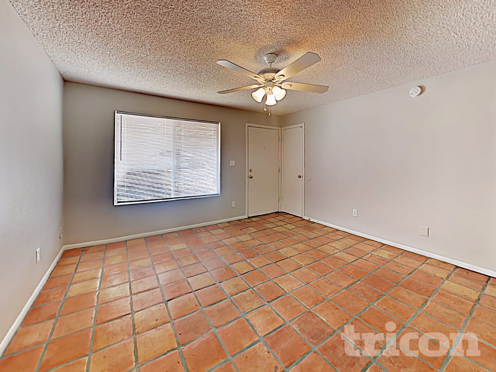 1246 E Barbara Drive photo 2