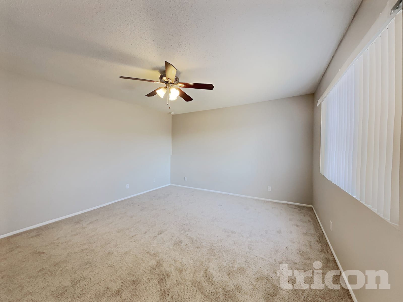 3427 W Rosewood Avenue photo 5