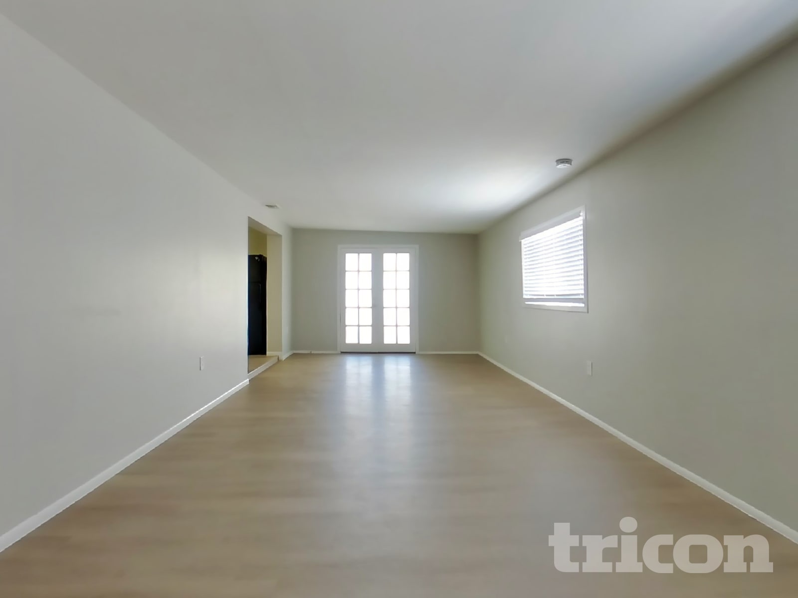 826 E Orchid Lane photo 3