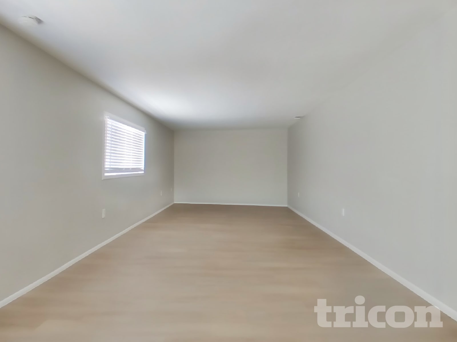 826 E Orchid Lane photo 4