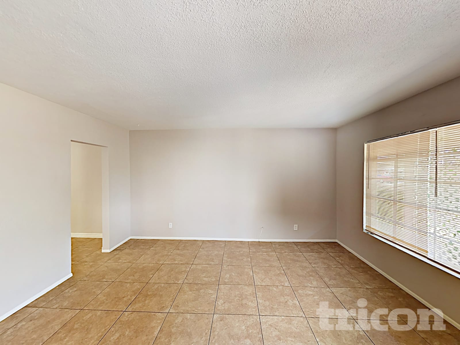 667 W Ivanhoe Street photo 2