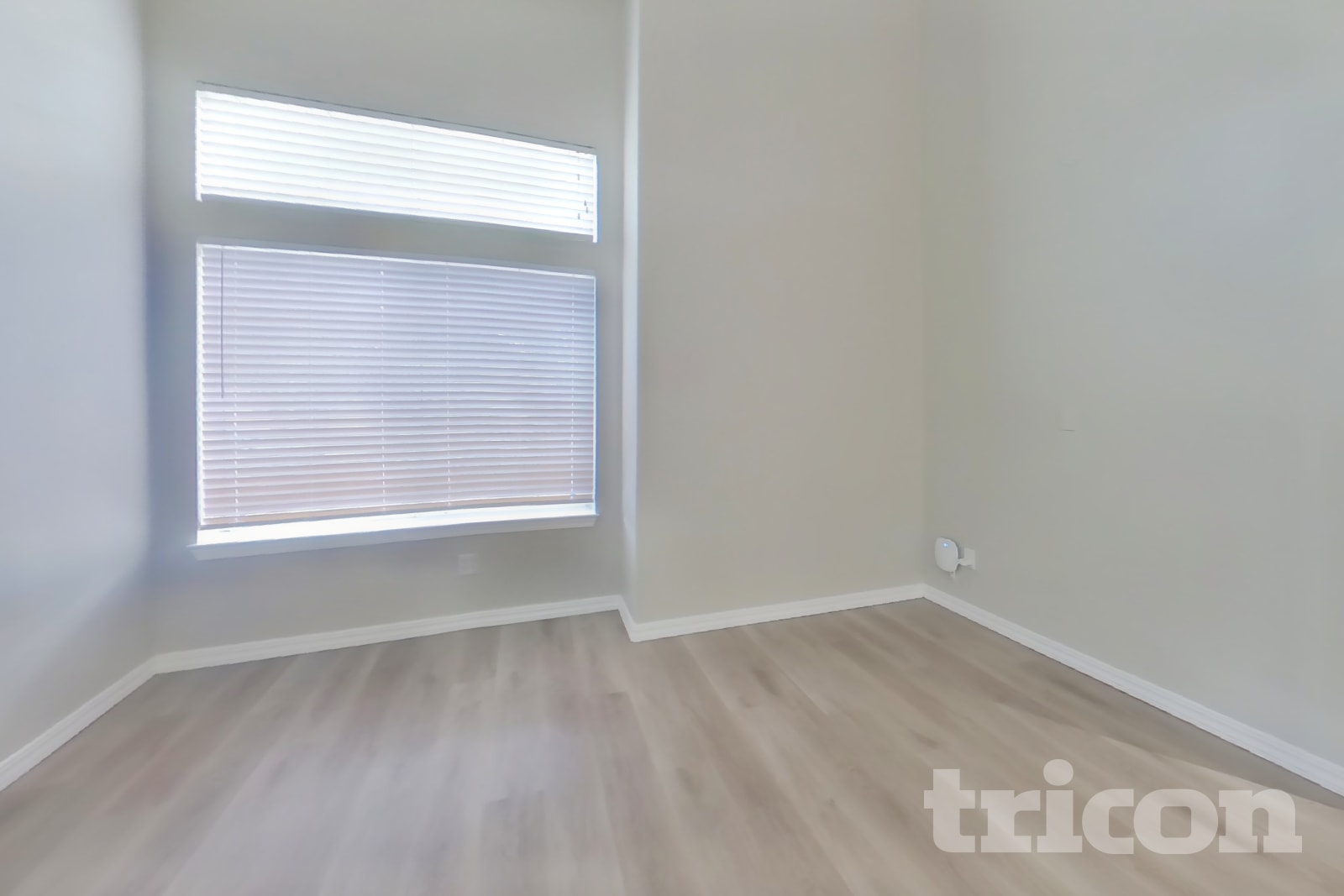 4716 Hunter Peak Court photo 4