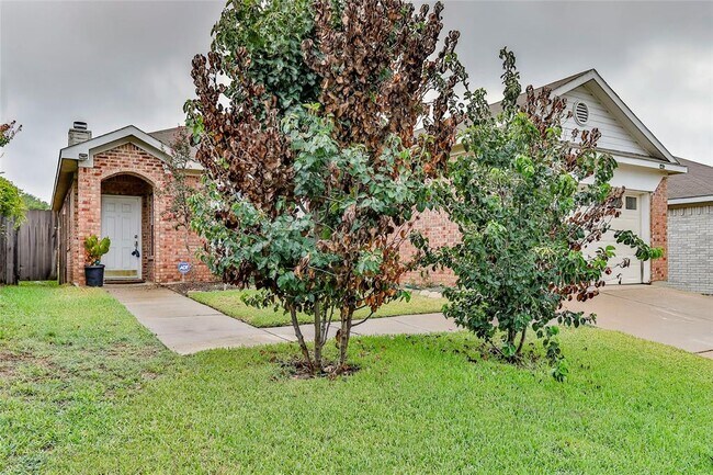 8609 Rainy Lake Drive, Fort Worth, TX 76244 photo 3