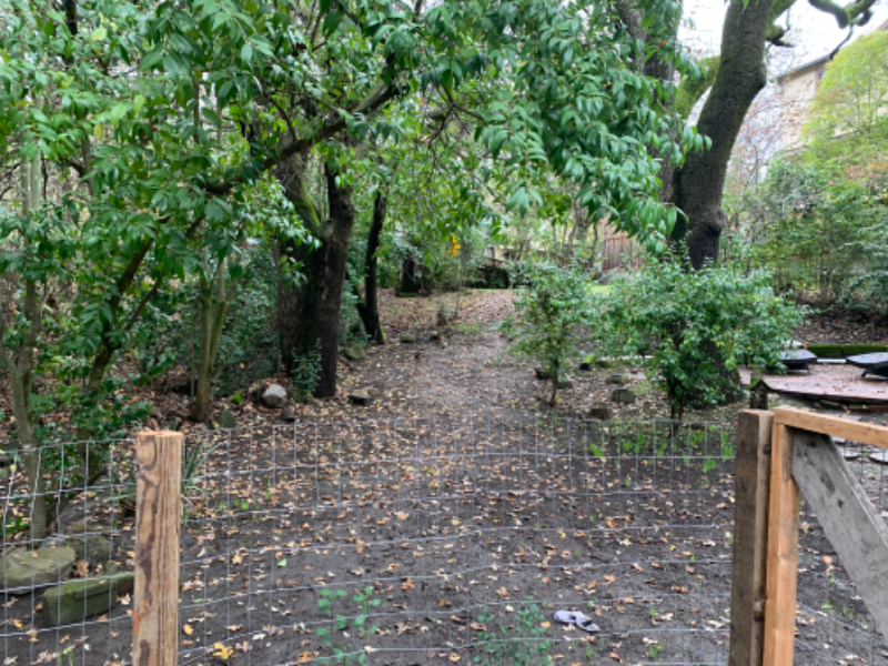 Room for Rent - Walk to Walnut Creek BART photo 2
