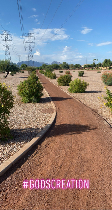 12029 W Apache St Avondale, AZ 85323 photo 4