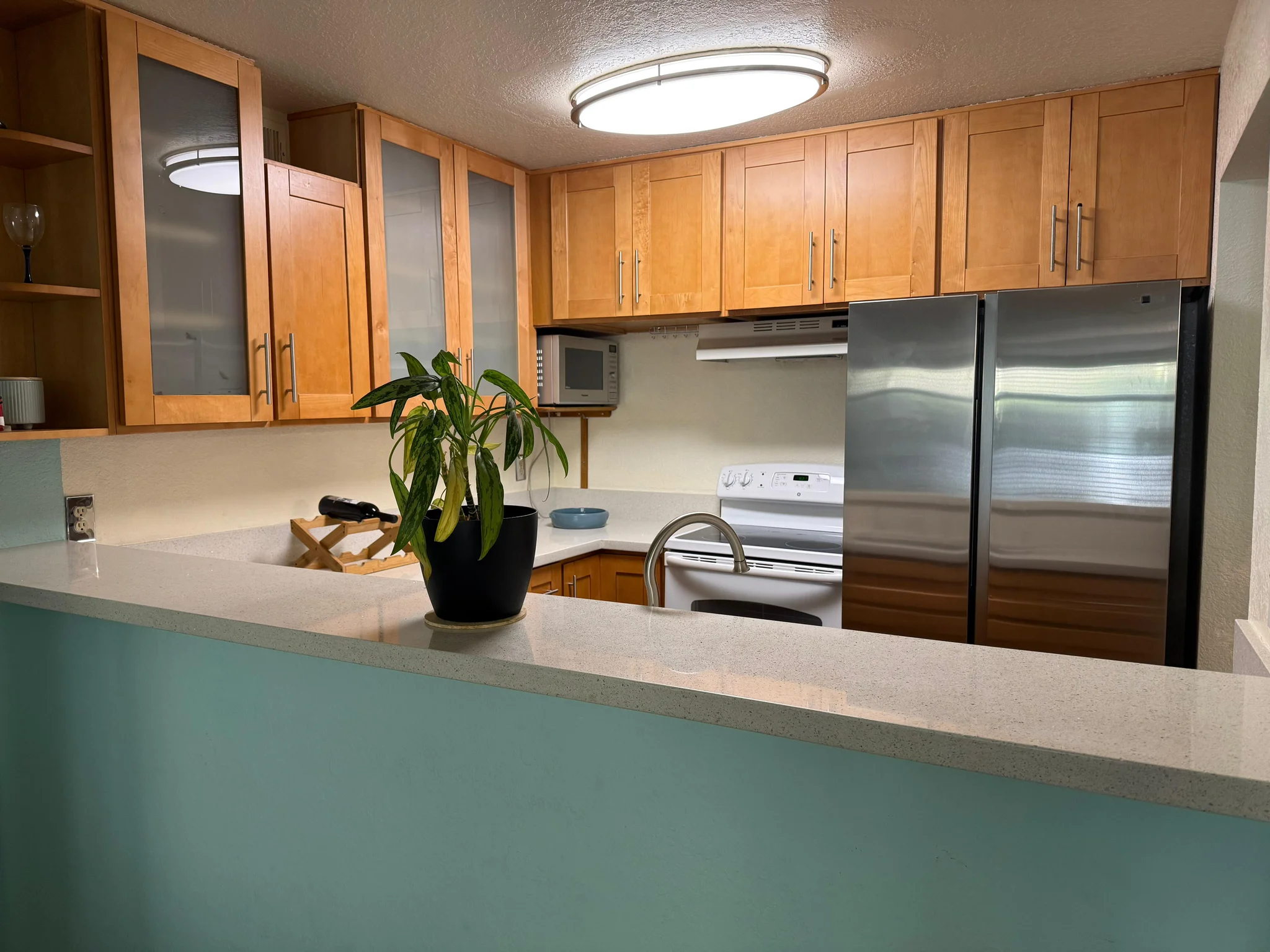 2BR/2BA Condo on Pierce Street · Albany photo 2