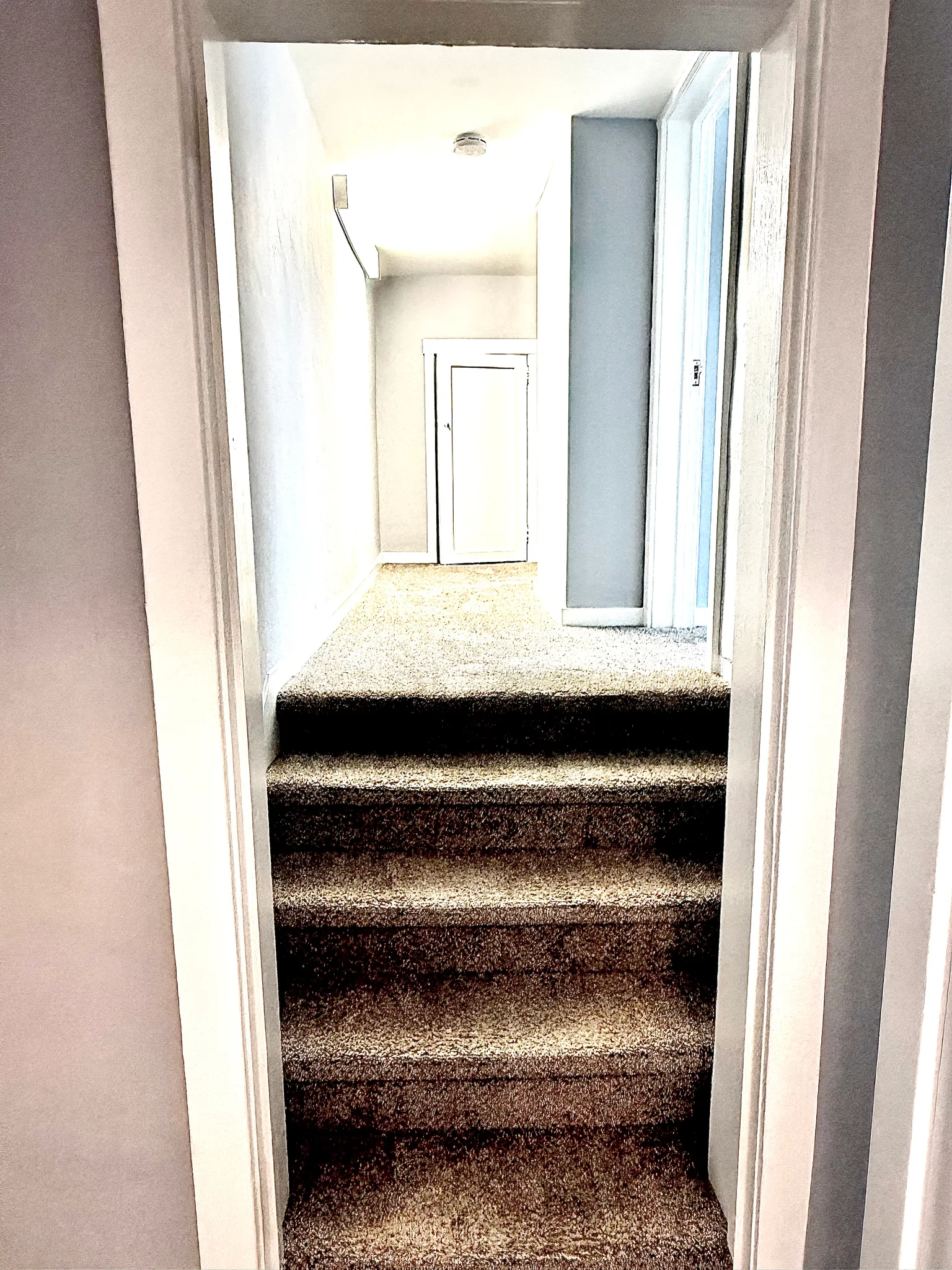 2818 Telegraph Ave Berkeley, CA 94705 photo 2