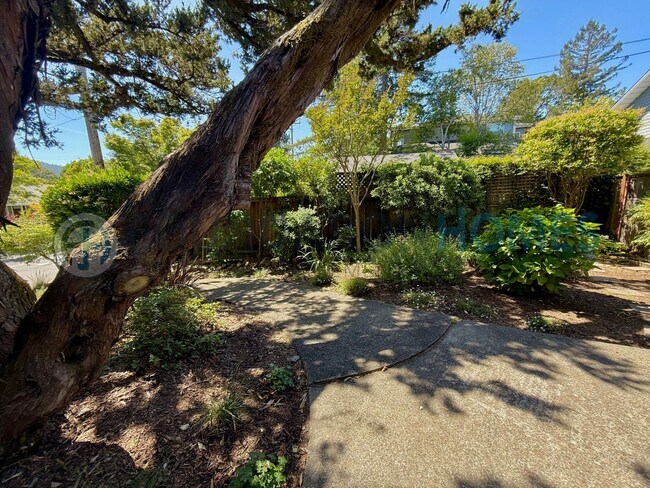 128 McAllister Ave Kentfield, CA 94904 photo 2