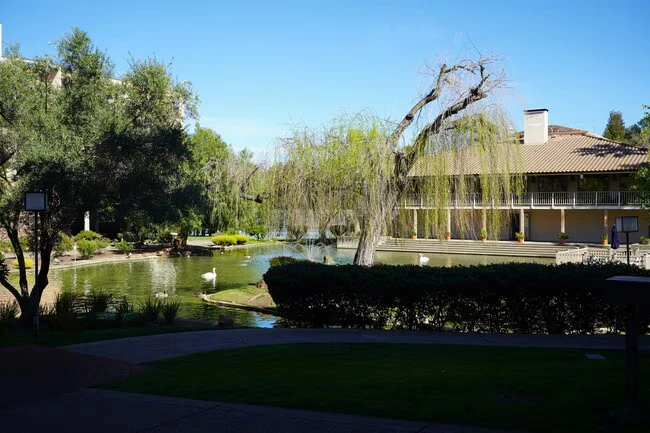 320 N Civic Dr Walnut Creek, CA 94596 photo 2