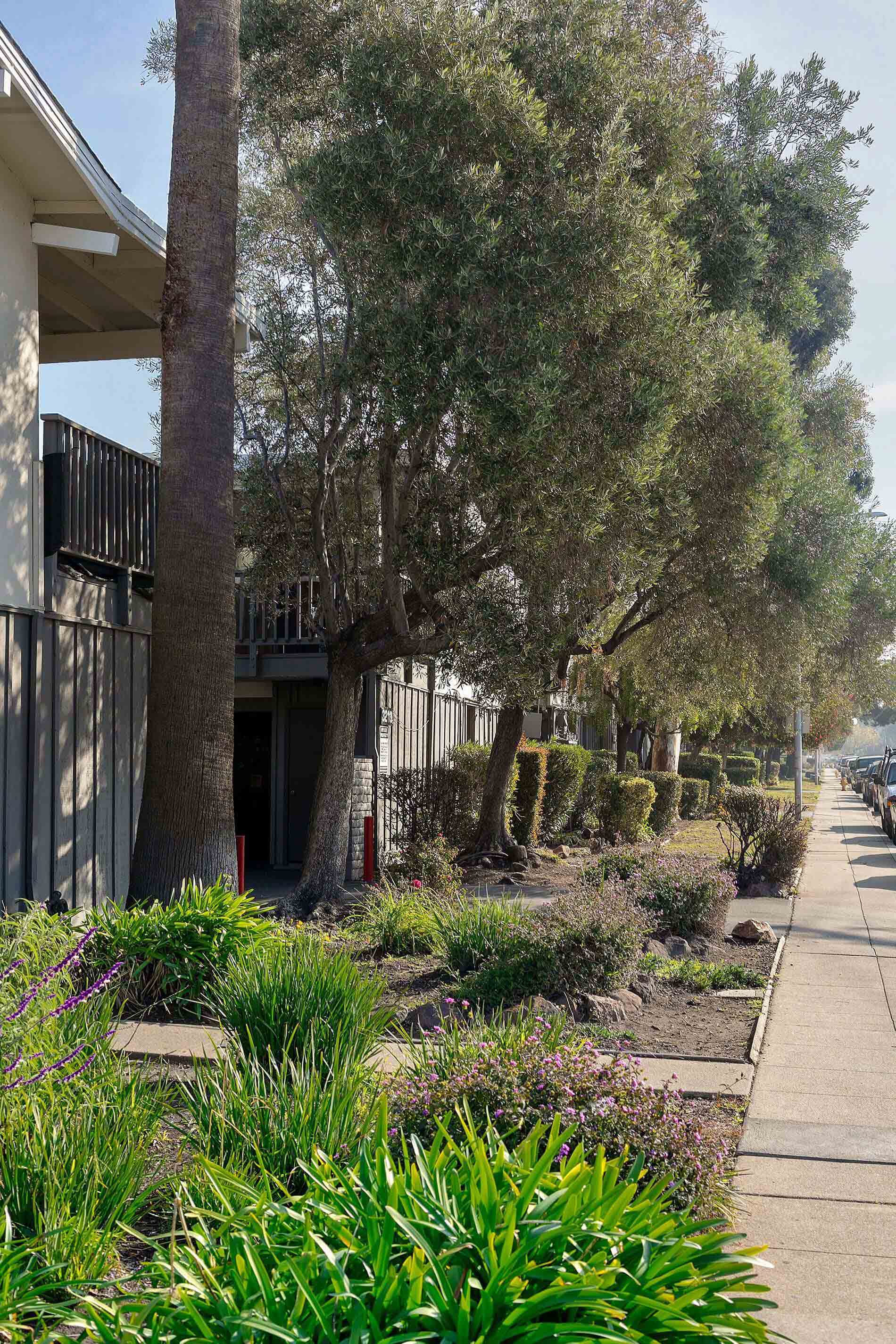 Bay Terrace Apartments photo 3