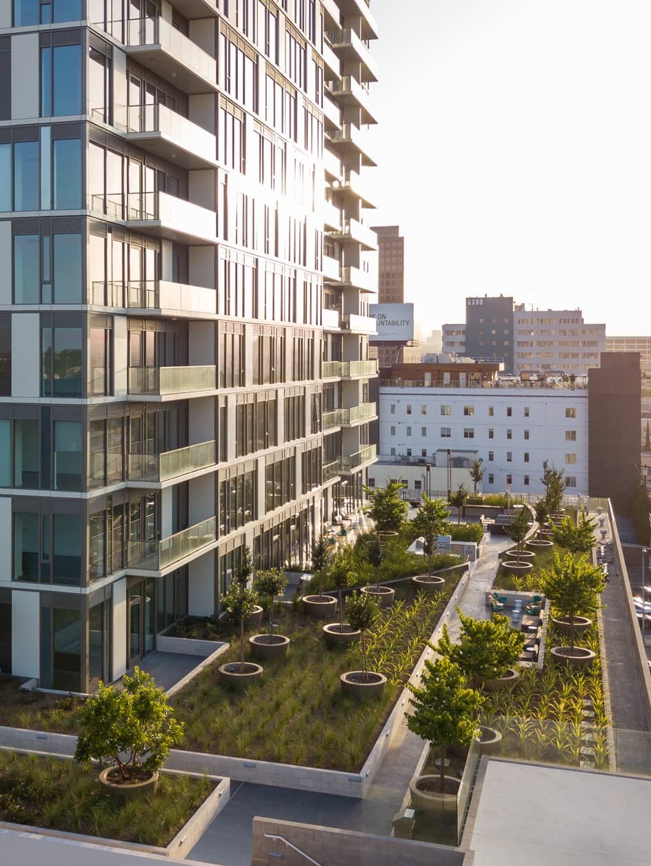 Vision on Wilshire photo 5
