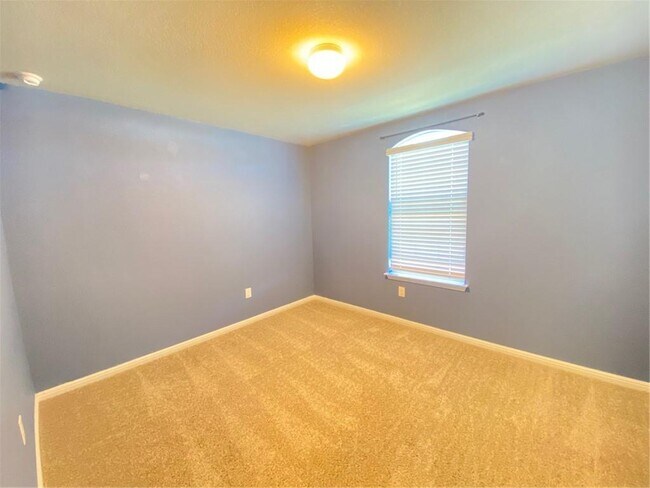 321 Old Glory Trail, Liberty Hill, TX 78642 photo 4