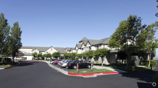 The Arbors photo 3