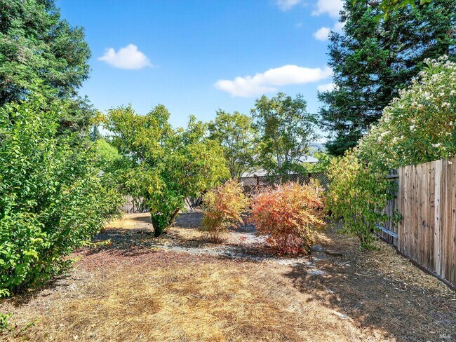 5794 Owl Hill Ave Santa Rosa, CA 95409 photo 3