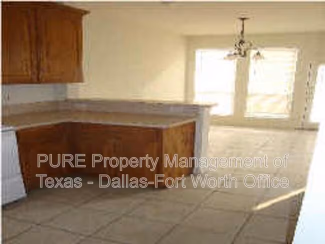 4010 Cottage Park Ct Arlington, TX 76013 photo 4