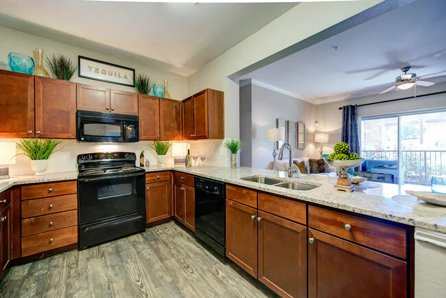 Callista Hill Country Apartments photo 2