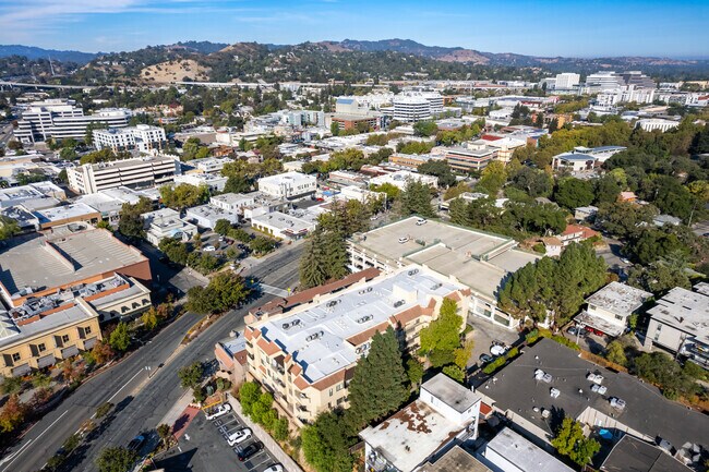 1201 Alta Vista Dr Walnut Creek, CA 94596 photo 5