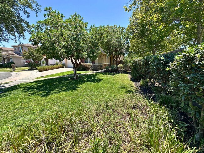 Stunning 4 Bedroom, 3 Bath Questa Home photo 4