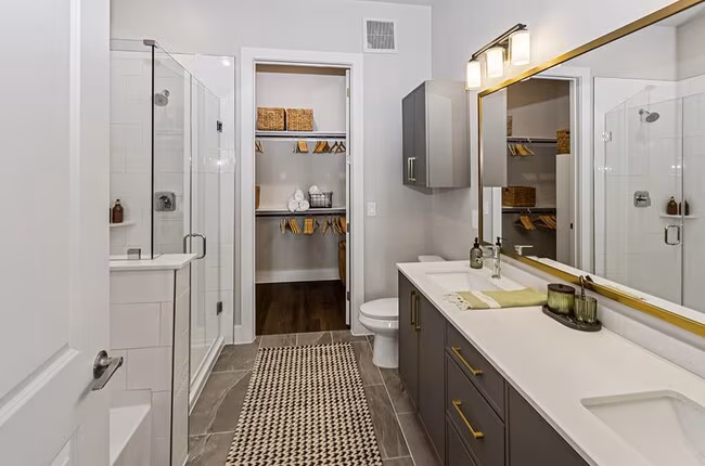 The Waylon Apartments & Townhomes photo 5