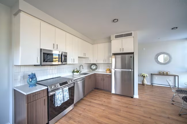Cerrito Vista Apartments photo 5