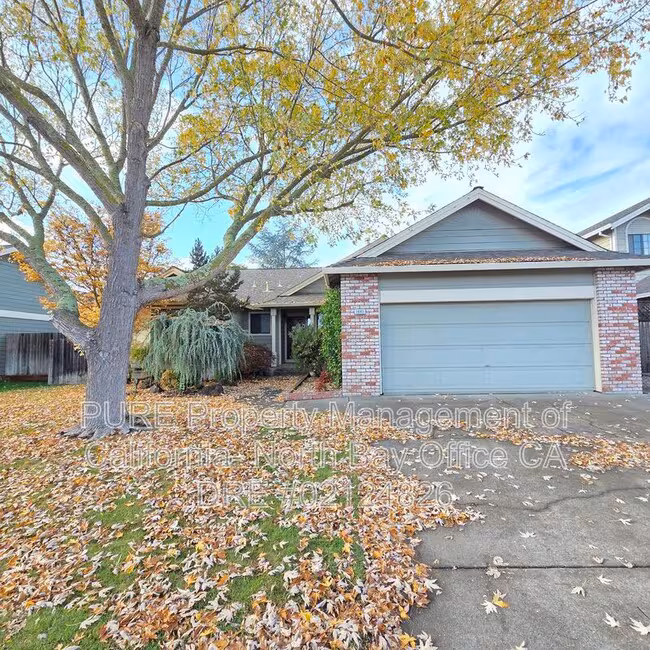 1641 Culpepper Dr Petaluma, CA 94954 photo 2