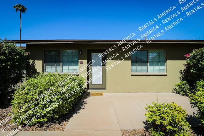Patio 71 photo 2