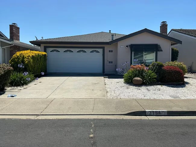 3154 Sugar Beet Wy Union City, CA 94587 photo 2