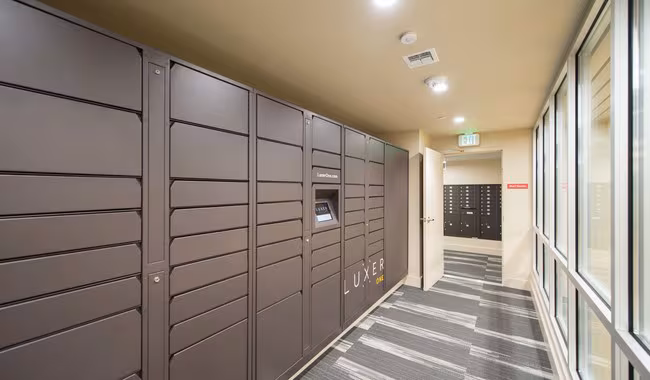 Indigo Apartments photo 5