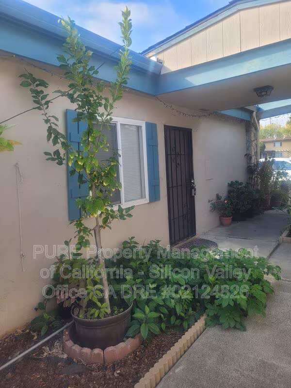 900 Sobrato Drive, Campbell, CA 95008 photo 3