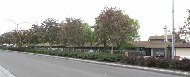 Jalou Apartments photo 3