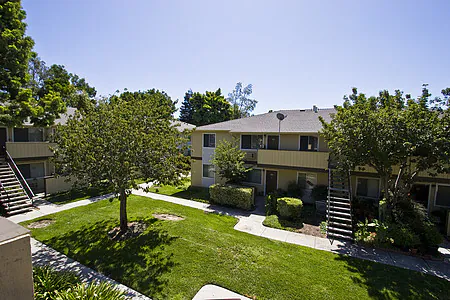 Lion Villas photo 5