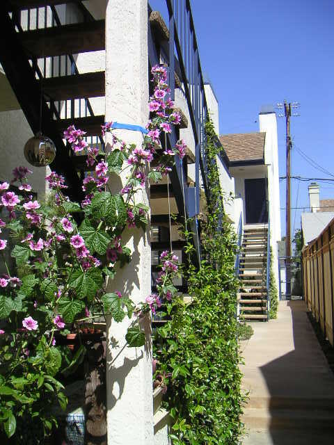 4357 Cleveland Ave San Diego, CA 92103 photo 3