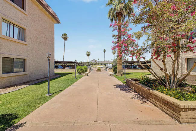 3033 E Devonshire Ave Phoenix, AZ 85016 photo 2